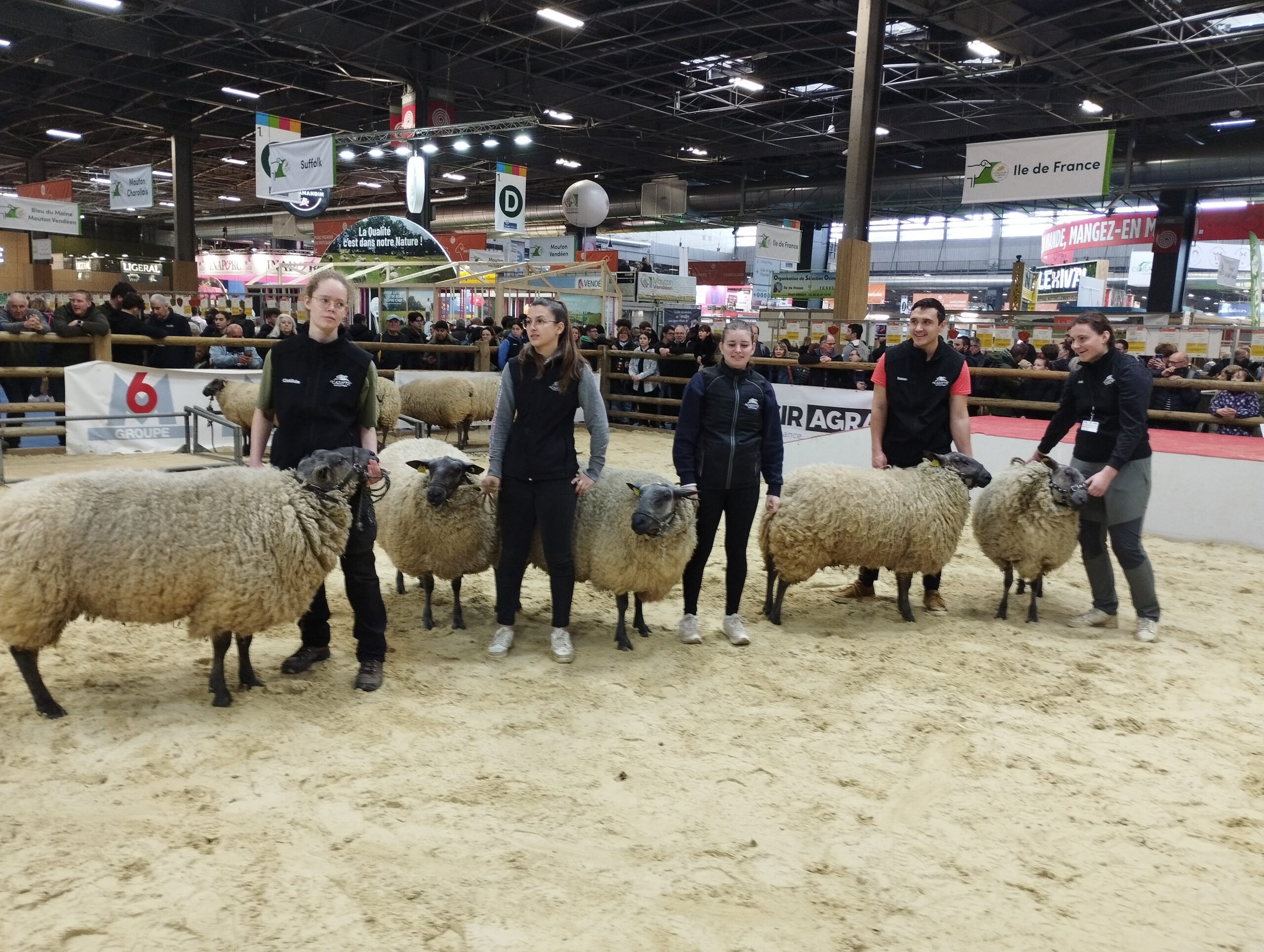 Les 5 prétendants au prix de Championnat viande