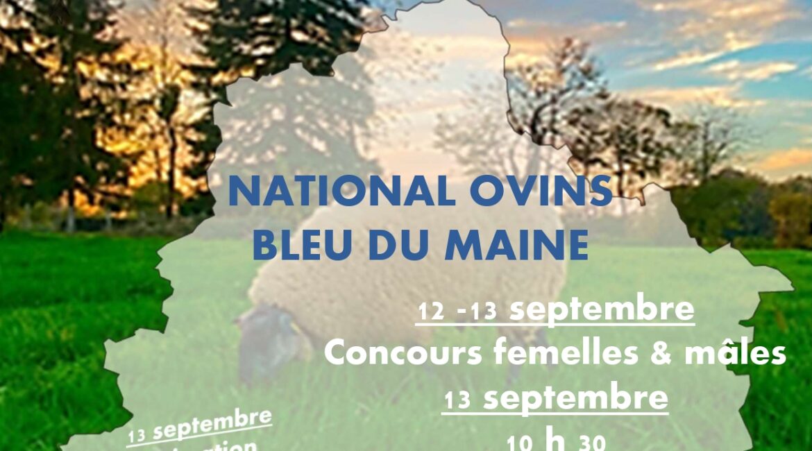 AFFICHE BLEU DU MAINE NATIONAL 2025