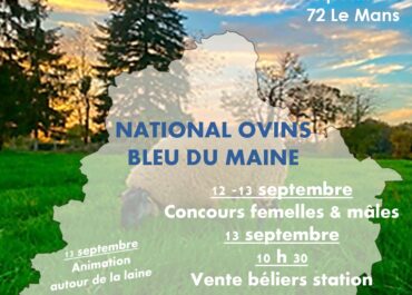 LE MANS : NATIONAL 2025